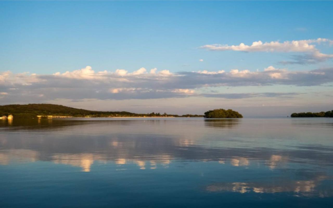 Wikkid Resort Dixon Cove Εξωτερικό φωτογραφία