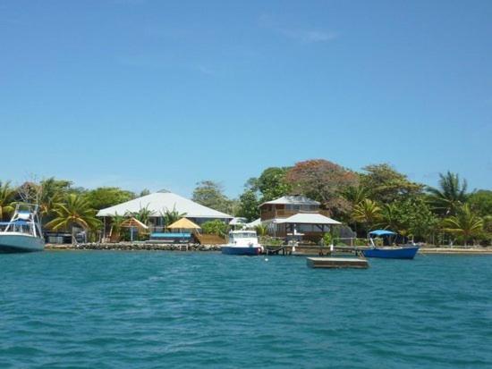 Wikkid Resort Dixon Cove Εξωτερικό φωτογραφία