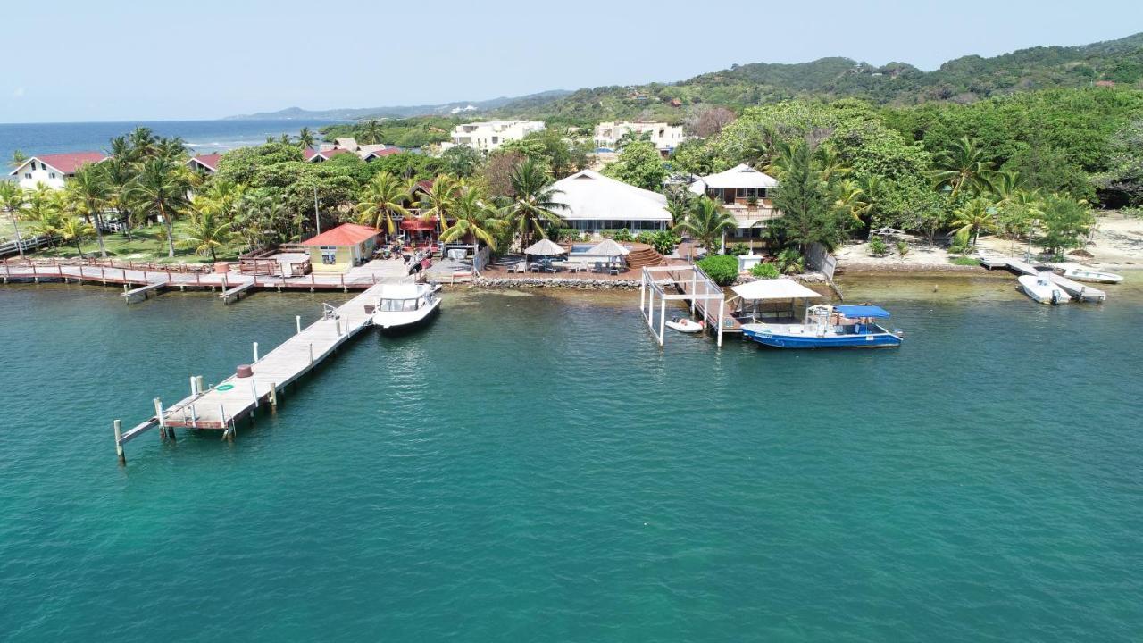 Wikkid Resort Dixon Cove Εξωτερικό φωτογραφία
