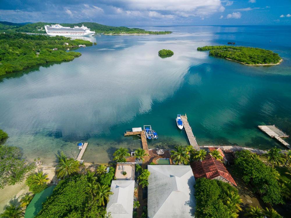 Wikkid Resort Dixon Cove Εξωτερικό φωτογραφία