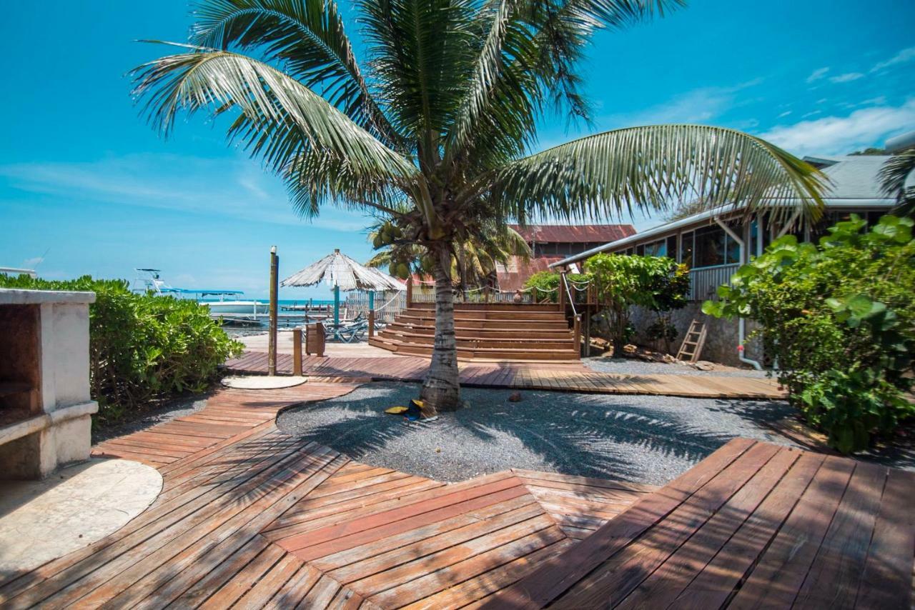 Wikkid Resort Dixon Cove Εξωτερικό φωτογραφία