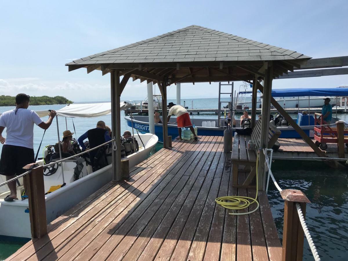 Wikkid Resort Dixon Cove Εξωτερικό φωτογραφία
